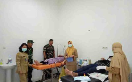 Sukseskan Program dua anak cukup Babinsa dampingi kegiatan pelayanan KB 