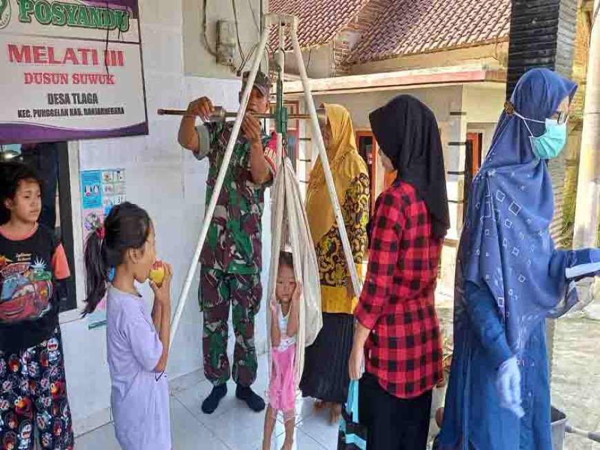Cegah Stunting, Babinsa  Aktif Dampingi Posyandu 