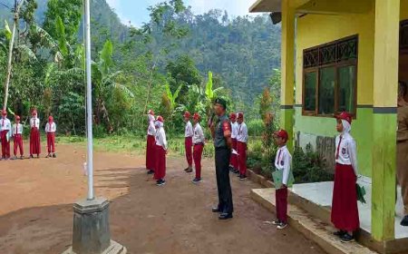 Menjadi Pembina Upacara Babinsa Motivasi Siswa Siswi SD 2 Mlaya 