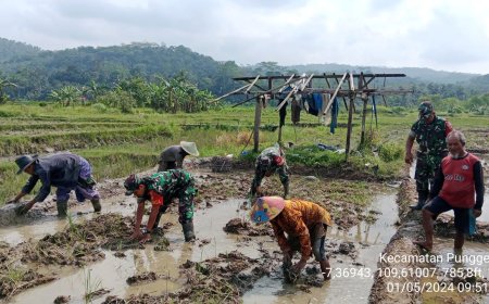 BABINSA KORAMIL 11/ PUNGGELAN TERJUN LANGSUNG KESAWAH