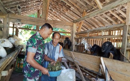 BABINSA KORAMIL 11/PUNGGELAN MELAKSANAKAN KOMSOS DENGAN PETERNAK KAMBING