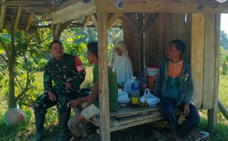 Melalui Komsos, Babinsa Berikan Motivasi Kepada Petani 