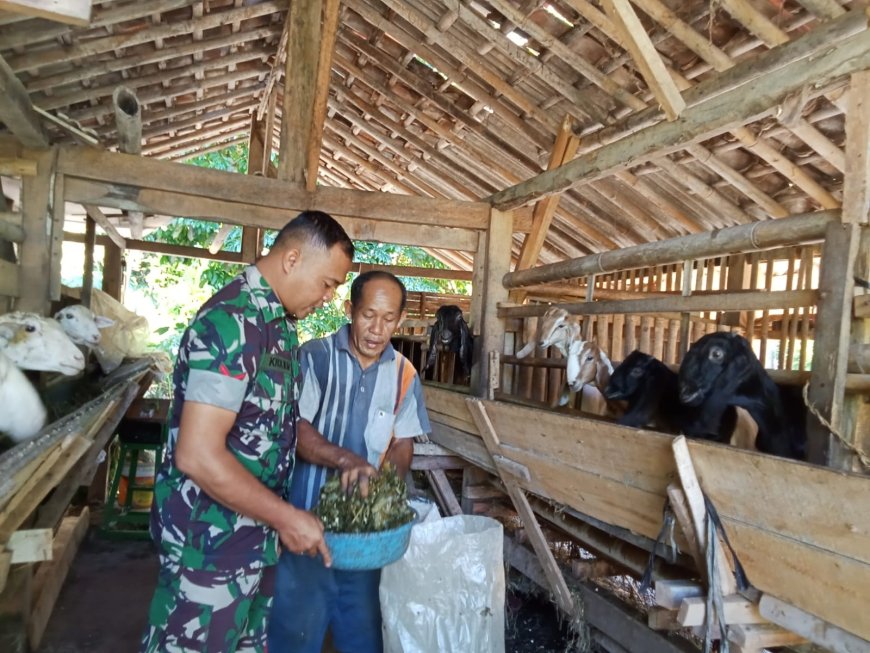 BABINSA KORAMIL 11/PUNGGELAN MELAKSANAKAN KOMSOS DENGAN PETERNAK KAMBING
