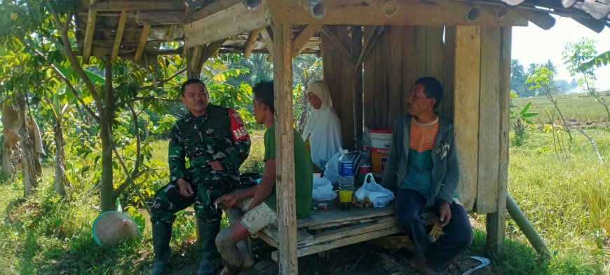 Melalui Komsos, Babinsa Berikan Motivasi Kepada Petani 