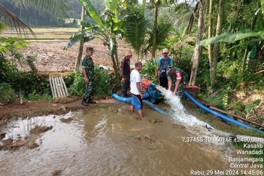 BABINSA KORAMIL 11/PUNGGELAN DAMPINGI PPL DALAM PENGECEKAN POMPANISASI DIDESA BINAAN