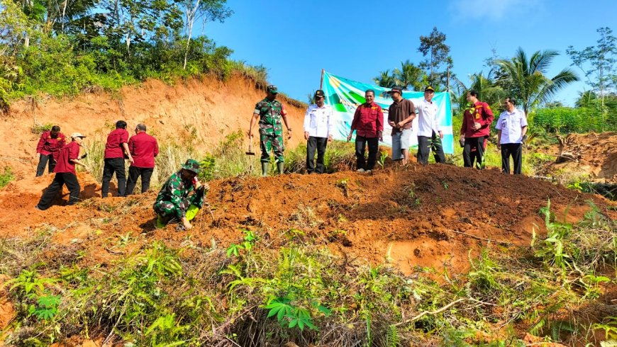DALAM RANGKA HARI LINGKUNGAN HIDUP BABINSA BERSAMA KEPALA DINAS BPN ,FORKOMPIMCAM MELAKSANAKAN PROGRAM PENGHIJAUN 