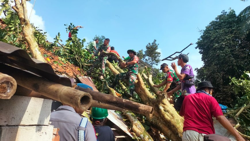 Babinsa  Koramil 11/Punggelan bersama Warga bersihkan pohon Tumbang Timpa Rumah Warga